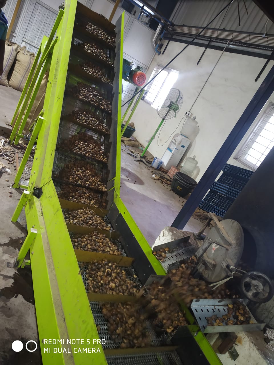 Inclined cleated conveyor feeding a processing line